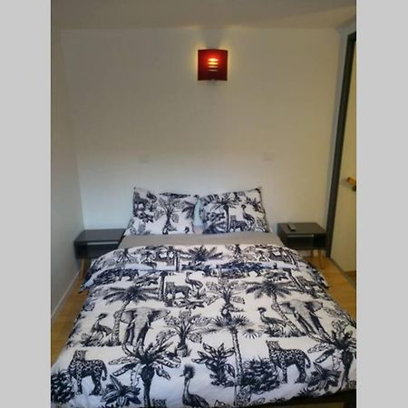 Petite Maisonnette D'Environ 25M2 Tout Confort โอเรซง ภายนอก รูปภาพ